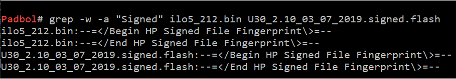 Figure 6: Binary firmware contains are signed